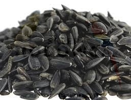 Słonecznik czarny 1kg 