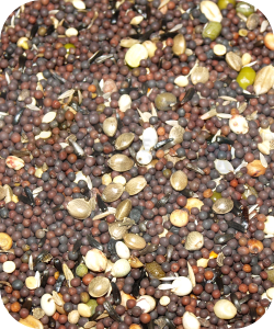 DELI NATURE ''82'' kiełki dla kanarka 1kg