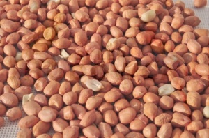 Orzechy, orzeszki ziemne bez łupiny 1kg