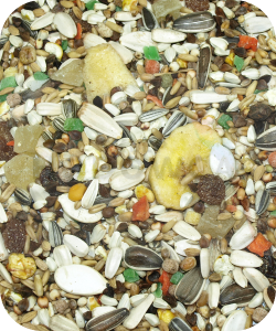 DELI NATURE ''64'' - DUŻA PAPUGA Z OWOCAMI 1KG