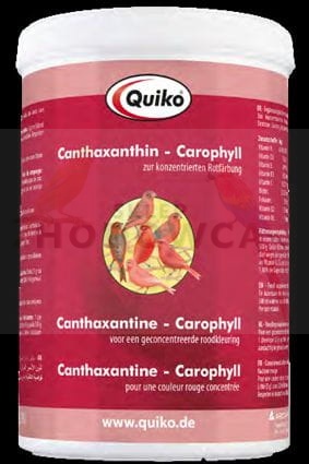 canta.jpg
