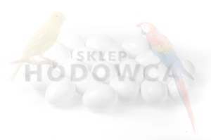 JAJKO PODKŁADOWE DLA GOŁĘBIA
