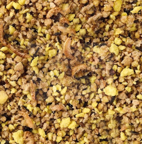 pokarm jajeczny pap.mala.jpg