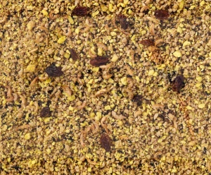 DELI NATURE Pokarm jajeczny DLA ŚREDNICH I DUŻYCH PAPUG WILGOTNY 1KG