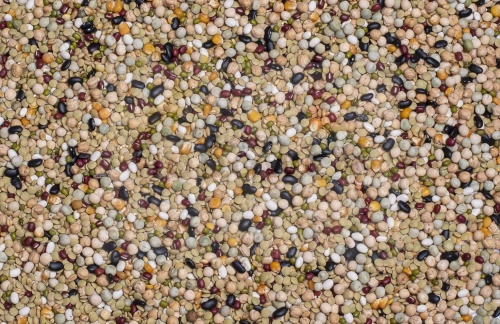 DeliNature_27 - Cooking Mix_2.jpg