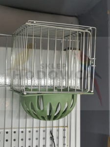 GNIAZDO,GNIAZDKO ZEWNĘTRZNE 