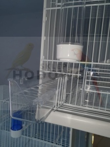 2GR KARMIDŁO + PROWADNICA  KOMPLET(Art.99+Art.410)