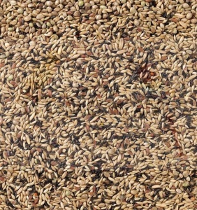 DELI NATURE ''80''  KANAREK BEZ RZEPIKU 1kg 