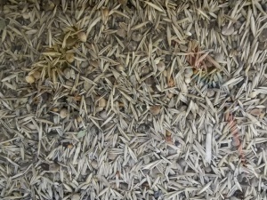 Blattner zioła zdrowia Unkrautsamen 15kg