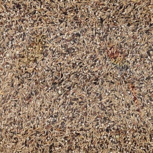  DELI NATURE ''49'' MIESZANKA DLA CZYŻY / ZEISIGE 15KG 